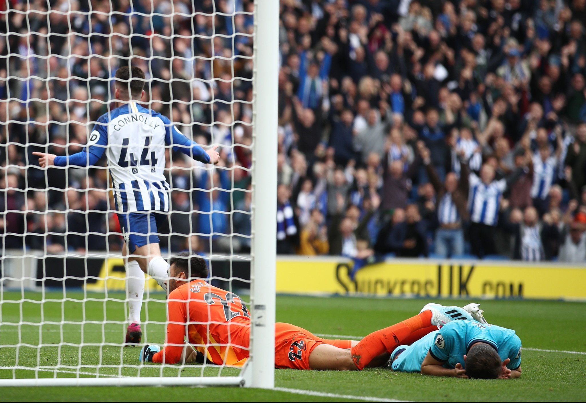 始终为球队 始终为球队