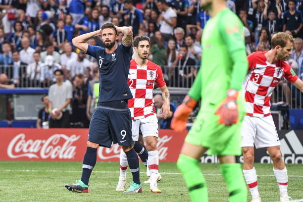 我们像一头 我们像一头